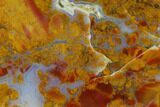 Colorful, Polished Fantasia Jasper Slab - Utah #150548-1